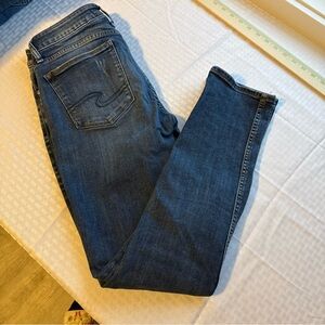 Silver Jeans Dark Blue Skinny Women's Jeans